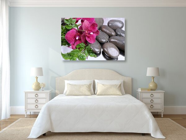 Kép virágzó orchidea és wellness kövek