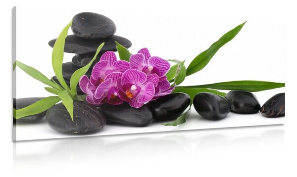 Kép lila orchidea Zen csendéletben