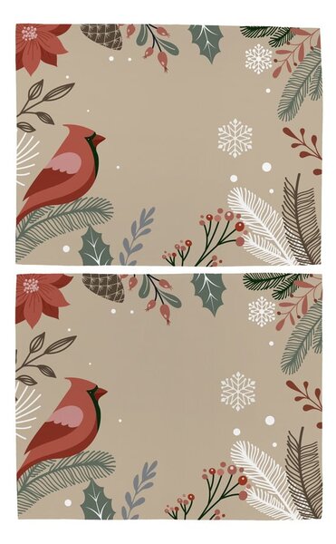 Textil tányéralátét szett karácsonyi mintával, 2 db-os 35x45 cm Frosted Branches – Butter Kings