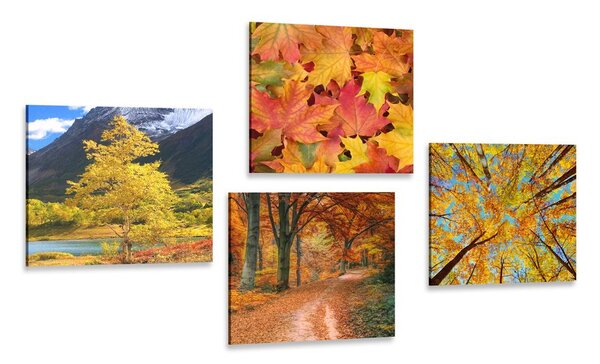 Kép szett őszi természet élénk színekben
