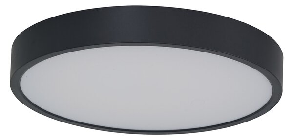 Pandino LED általános mennyezeti lámpa