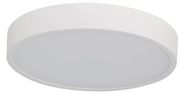 Pandino LED általános mennyezeti lámpa