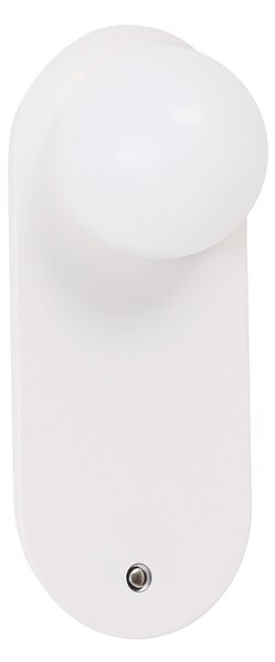 Amoro LED falikar
