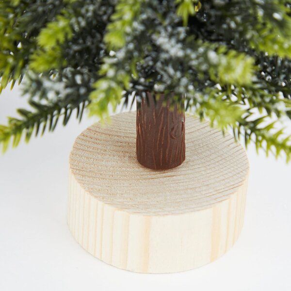 TREE OF THE MONTH fenyőfa talpon 19 cm
