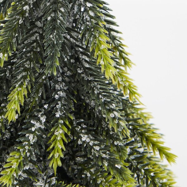 TREE OF THE MONTH fenyőfa talpon 19 cm