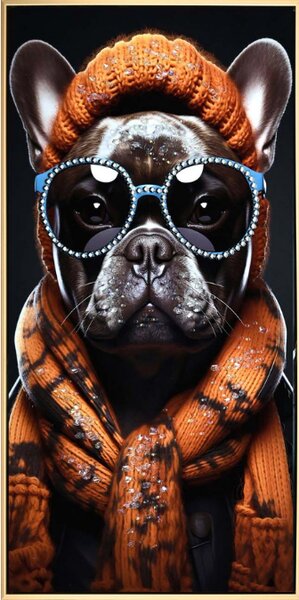 HipHop Bulldog– keretezett, lakkozott vászonkép