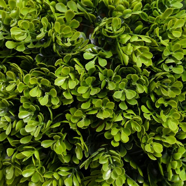 Műnövény, buxus, cserépben 90cm magas