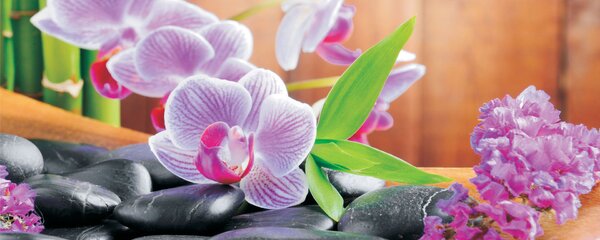Poszter tapéta panoráma vlies Orchidea 2