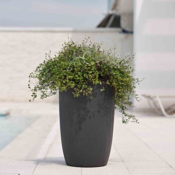 Virágcserép Meti 60x40 cm antracit – modern teraszra - 51 - 70 cm