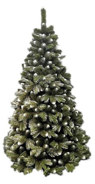Karácsonyfa - Erdeifenyő 180cm Freezy