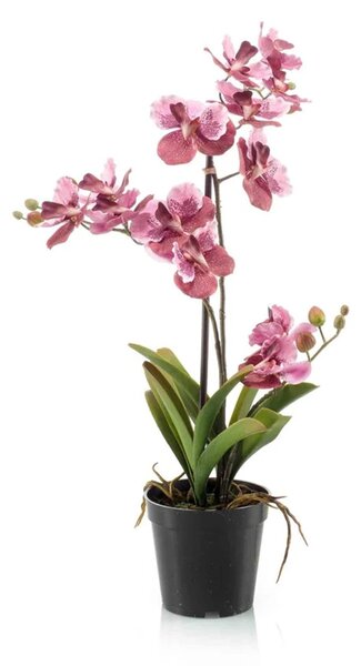 Mű orchidea 70 cm – Vanessa mix, rózsaszín, élethű - Rózsaszín - 51 - 70 cm