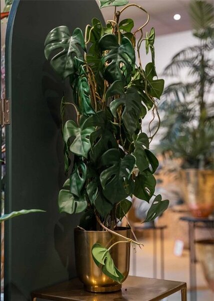Mű Monstera 75 cm cserépben – Élethű beltéri dekoráció - 71 - 90 cm