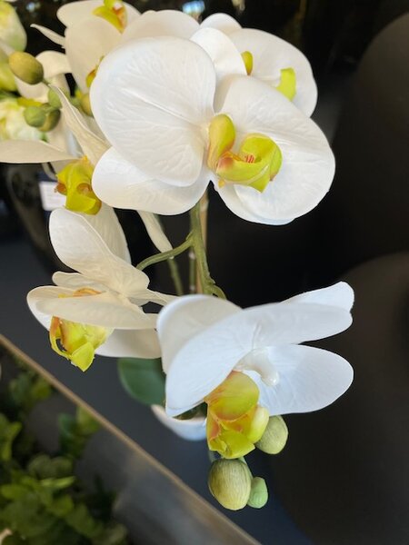 Fehér mű orchidea 65 cm fehér vázában – Elegáns dekoráció - Fehér - 51 - 70 cm
