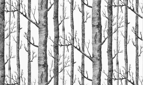 T69 szürke erdő 45 cm x 10 m öntapadós tapéta, fa természet