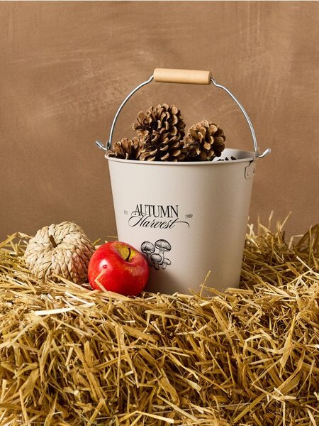 Sinsay - Fém vödör fogantyúval és „Autumn Harvest” felirattal - bézs