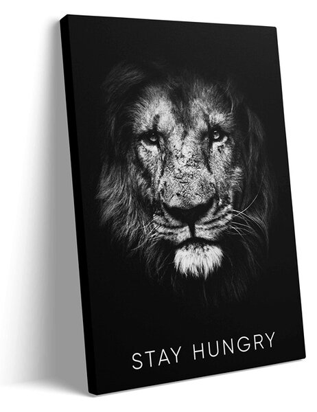 STAY HUNGRY