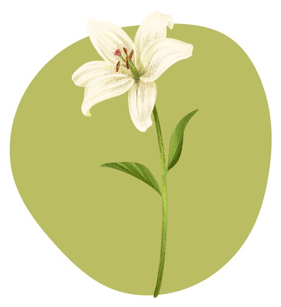 PIPPER. Textil falmatrica "Liliom"