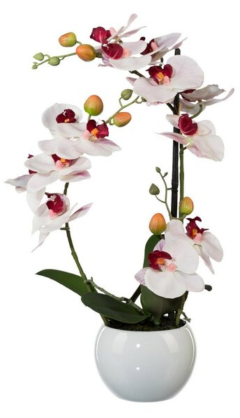 Mű orchidea kerámia virágtartóban, fehér, 42 cm
