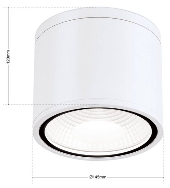 ORION LED mennyezeti spotlámpa Sputnik IP65 Ø 14,5 cm, Fehér / opál, Fürdőszoba, Alumínium, Modern