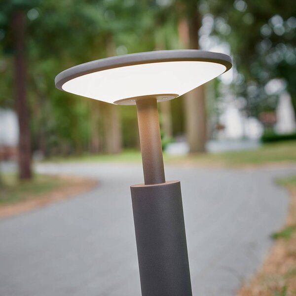 Lucande LED-es útvilágító Fenia, 60 cm, antracit, IP65, Fekete, Alumínium, Modern