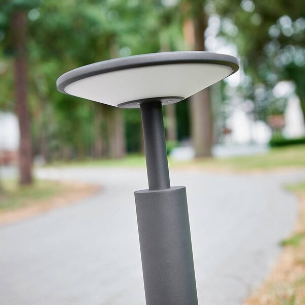 Lucande LED-es útvilágító Fenia, 60 cm, antracit, IP65, Fekete, Alumínium, Modern