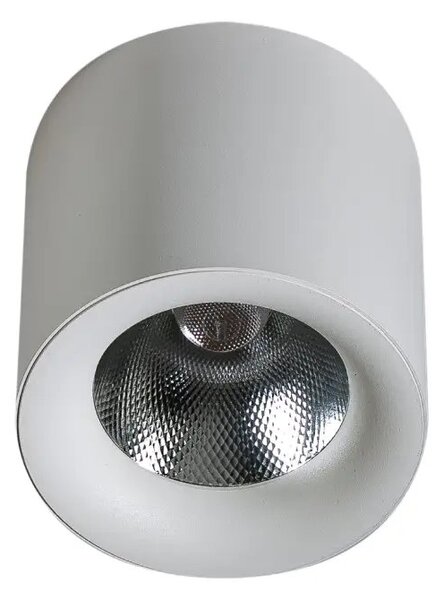 LED spotlámpa Mane 20W Dimm fehér