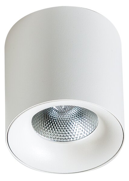 Led spotlámpa Mane 20W fehér