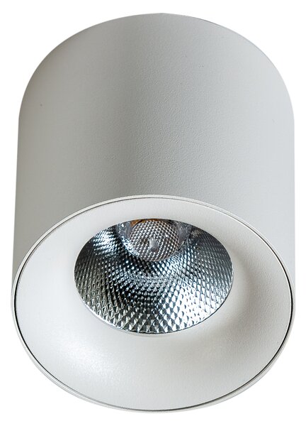 Led spotlámpa Mane 20W fehér