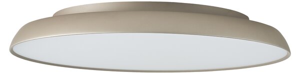 Minimalista mennyezeti lámpa Clara 60 szabályozható pezsgő – 60 x 310 cm
