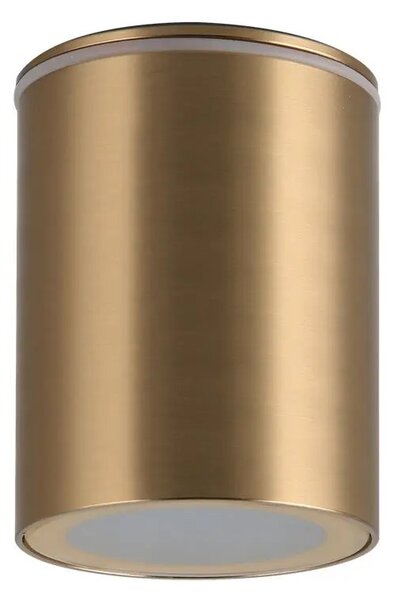 Kültéri spotlámpa Papiko Ip65 arany – 1 x 50 W