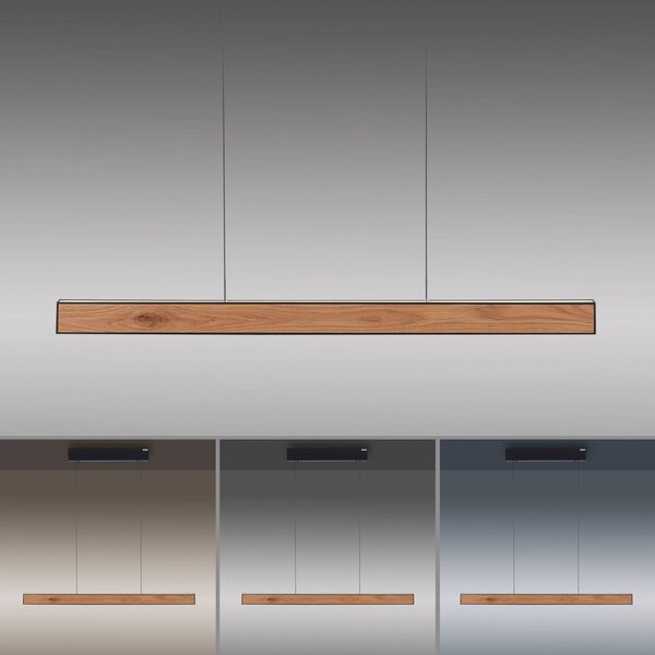 PURE LED függő világítás E-Motion, tölgy/fekete gyöngyház, CCT, dimmelhető, Világos fa, Nappali / Étkező, Alumínium, Modern