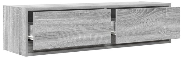 TV Szekrény Szürke Sonoma 100x31x25,5 cm Szerelt Fa