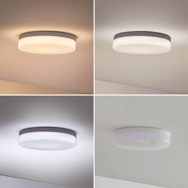 PRIOS Prios Wynion LED mennyezeti lámpa CCT DIP kapcsoló 30cm, dimmelhető, Fehér / opál, Fürdőszoba, Műanyag, Modern