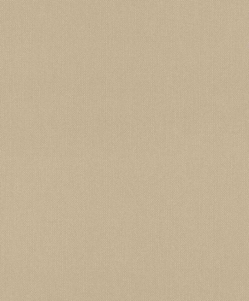 Nem szőtt tapéta falra rasch deco style 312416