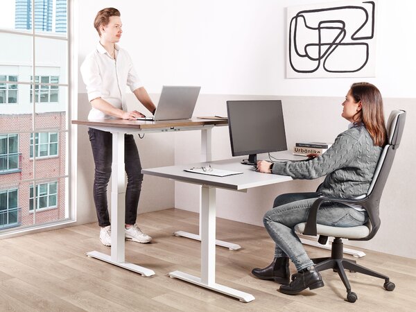 Elektromosan állítható asztal DESTINES Szürke/fehér 120 cm 72 cm