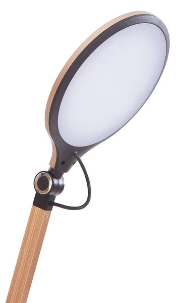 Lindby LED-es asztali lámpa Nyxaris, arany, fém, CCT, 50 cm, dimmelhető, Sárgaréz / arany, Dolgozószoba / Iroda, Műanyag, Modern