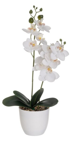 Művirág (magasság 39 cm) Orchid – Casa Selección