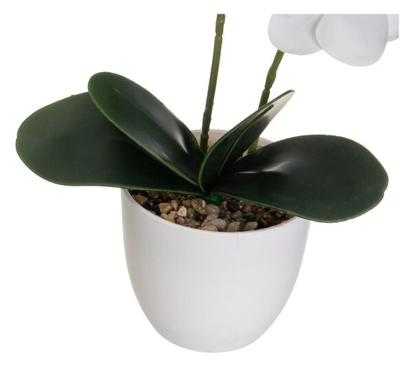 Művirág (magasság 39 cm) Orchid – Casa Selección