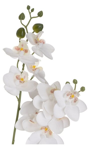 Művirág (magasság 39 cm) Orchid – Casa Selección