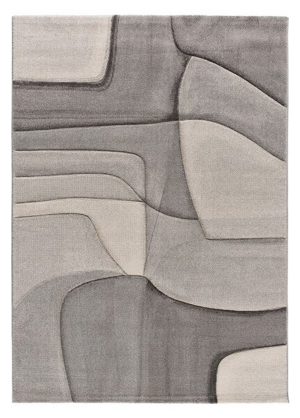 Szürke szőnyeg 140x200 cm Medel – Universal