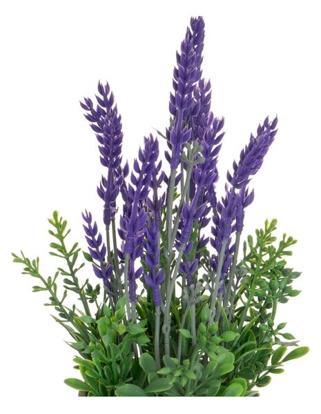 Levendula műnövény szett 2 db-os (magasság 27 cm) – Casa Selección