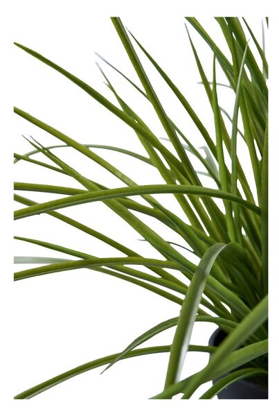 Fű műnövény (magasság 45 cm) – House Nordic
