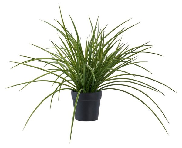 Fű műnövény (magasság 45 cm) – House Nordic