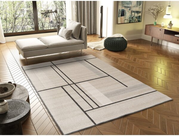 Bézs szőnyeg 160x230 cm Domus – Universal