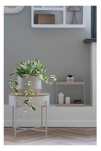 Műnövény (magasság 33 cm) Hoya Carnosa – House Nordic