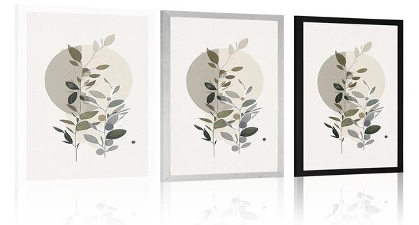 Poszter minimalista növények boho stílusban