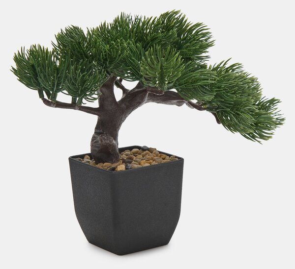 Sinsay - Bonsai fa cserépben - zöld