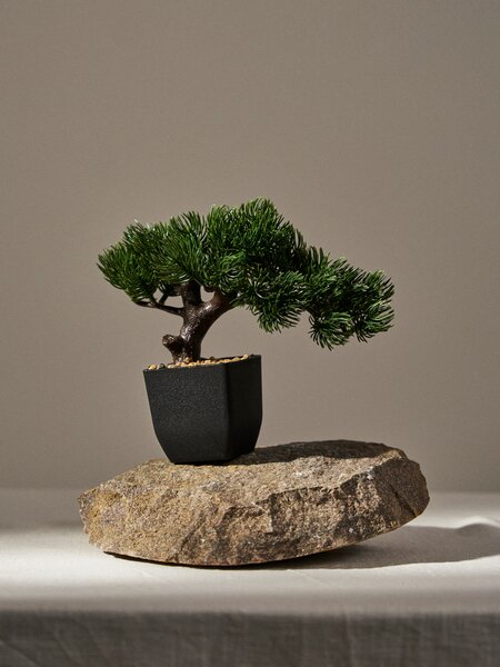 Sinsay - Bonsai fa cserépben - zöld