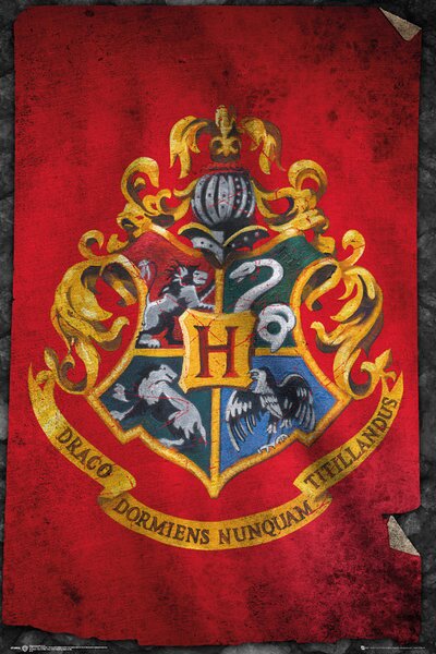 Plakát Harry Potter - Roxfort, (61 x 91.5 cm)