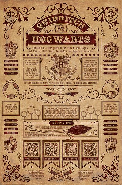 Plakát Harry Potter - Kviddics, (61 x 91.5 cm)